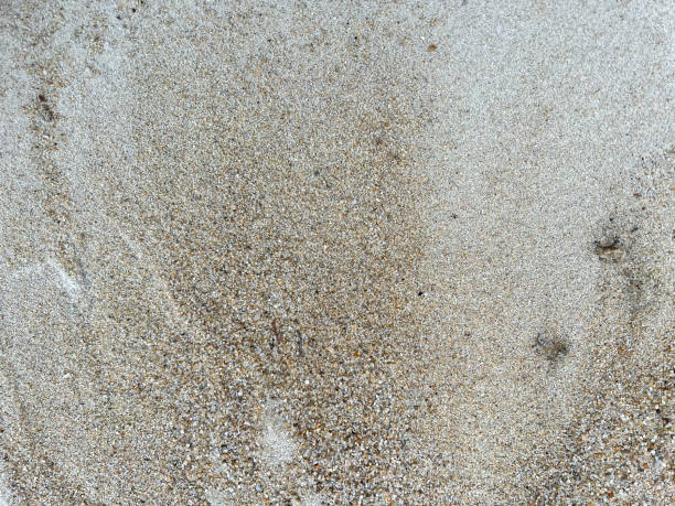 Moist sand as texture or background. stock photo