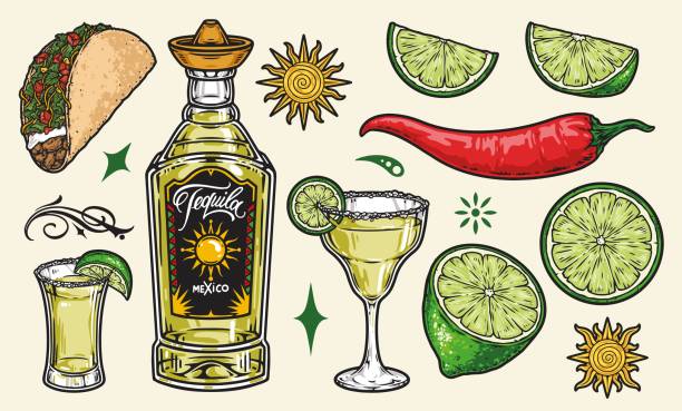 красочные винтажные элементы текилового напитка - mexican cuisine illustrations stock illustrations