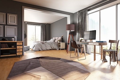 Cozy Living Room with Bedroom and Workspace. 3D Render