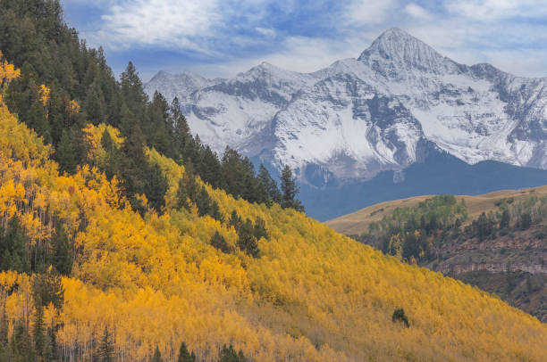 istock Autumn Aspens and Wilson Peak 1368210563