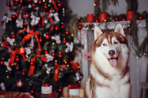 istock Family in a New Year's interior 1368213308