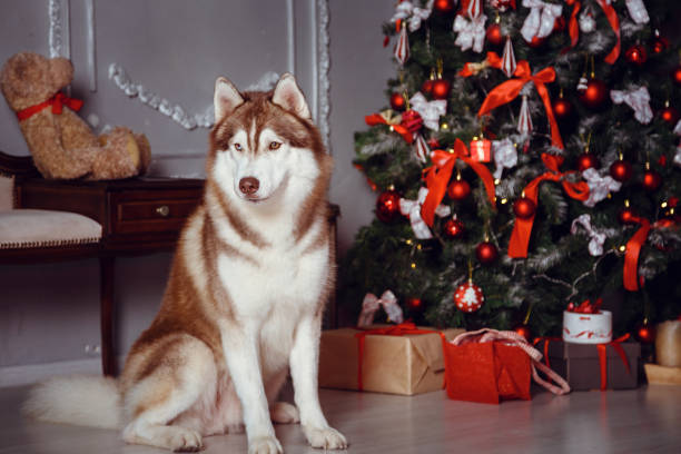 istock Family in a New Year's interior 1368213355