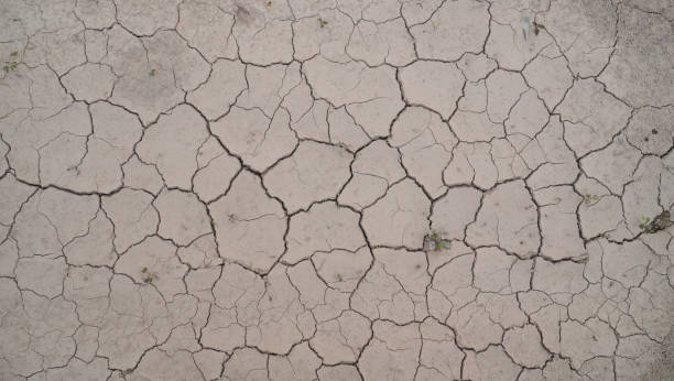 sfondo di fango secco incrinata - arid climate asia color image day foto e immagini stock