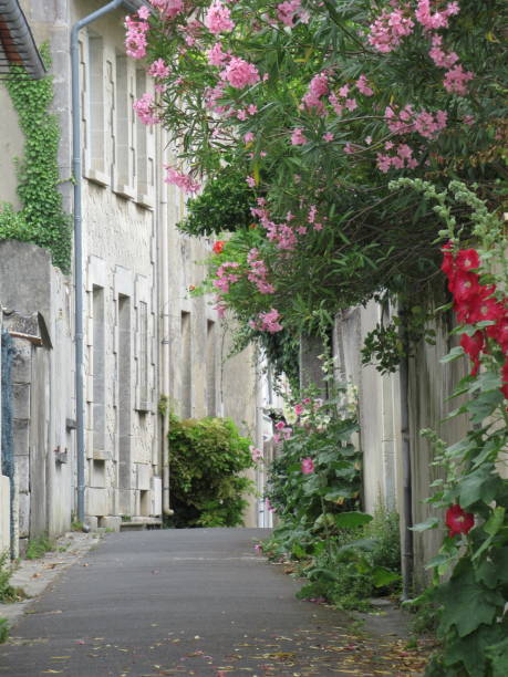 istock French village street 1368217608
