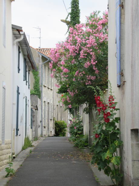 istock French village street 1368217639