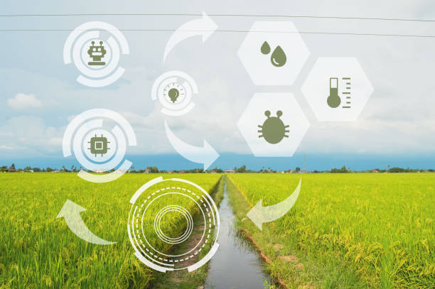 istock Environment and technologies symbols on nature background. Technologies and innovation in agro-industry concept. 1368218665
