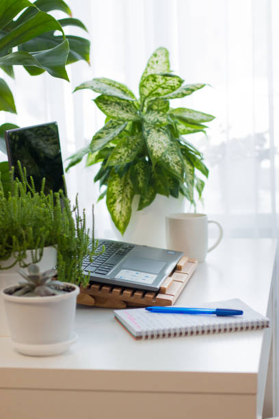 istock Interior in light colors with green plants. Distance education and work. 1368220121