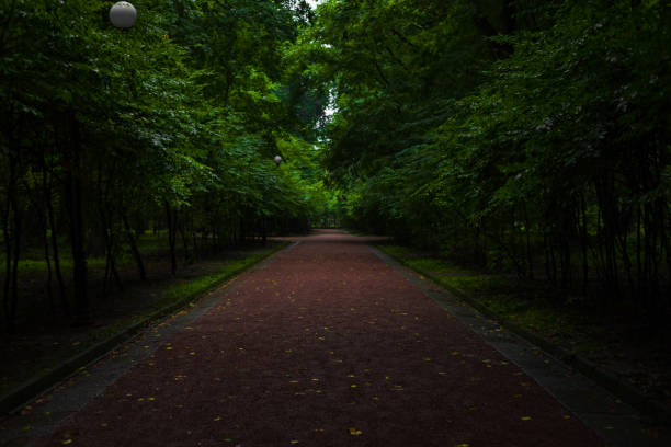 shadow park with straight road soft focus dirt textured surface, foot path for morning running or walking
