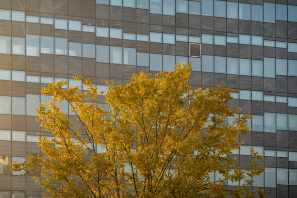 Autumn in the city