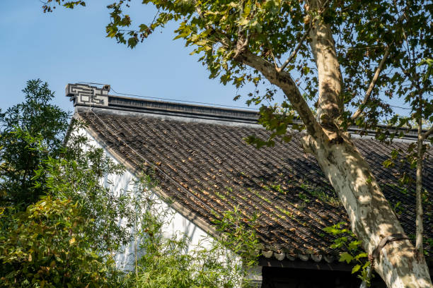 istock Chinese historical buildings hidden by green trees 1368227220