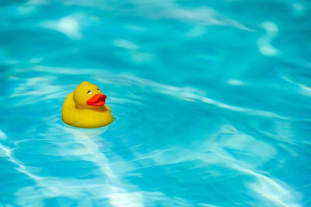 istock Little plastic yellow duck in the pool 1368227854