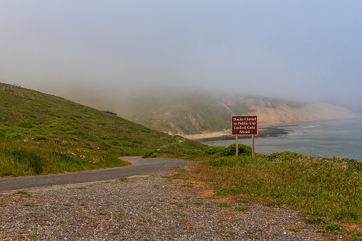 Trailhead to Elephant Seal overlook in Point Reyes National Seashore, Marin County, California, USA,  on a partly cloudy day at low tide, featuring wildflowers (california poppy)