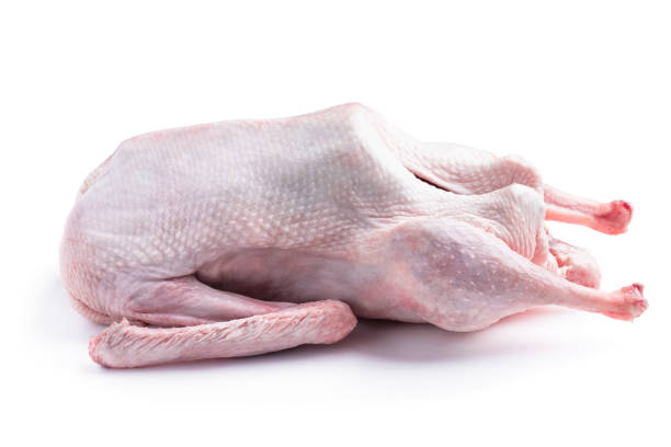 istock Raw whole goose isolated on white 1368230738