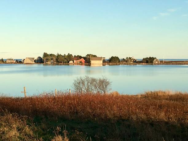 istock Kingsburg Pond in autumn 1368230885