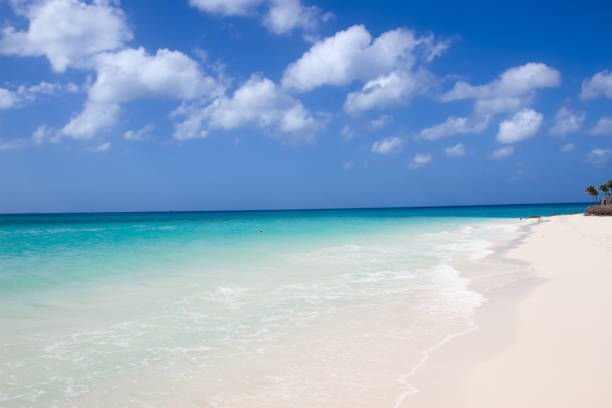 istock Beautiful white sand beach in Aruba 1368232002