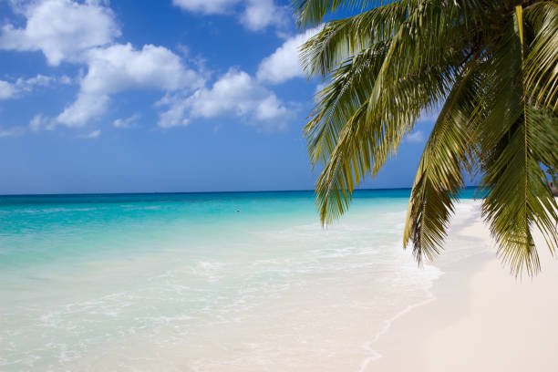 istock Seven miles beach in Grand Cayman 1368232022