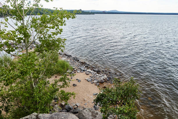 istock scenic view of a lake overgrown with trees 1368232089