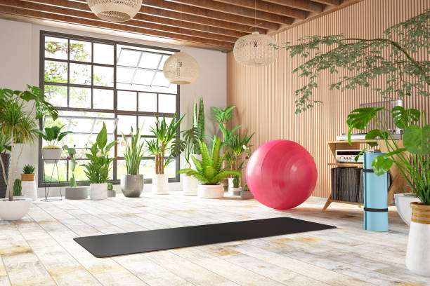 intérieur confortable avec équipement d’exercice tapis de yoga et plantes vertes - yoga ball photos et images de collection
