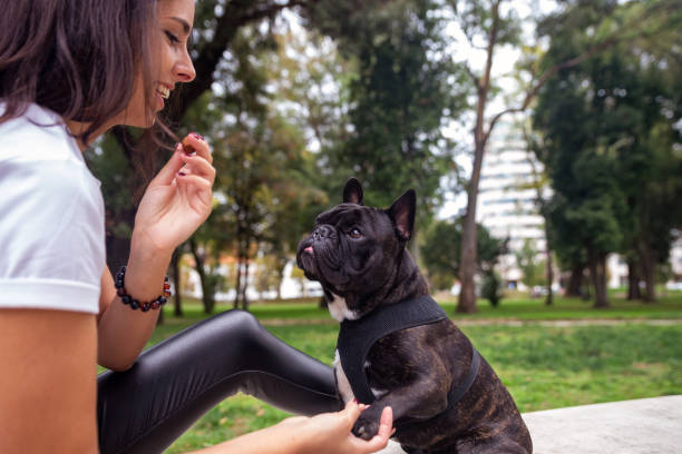 istock Woman with her dog in the park 1368234113