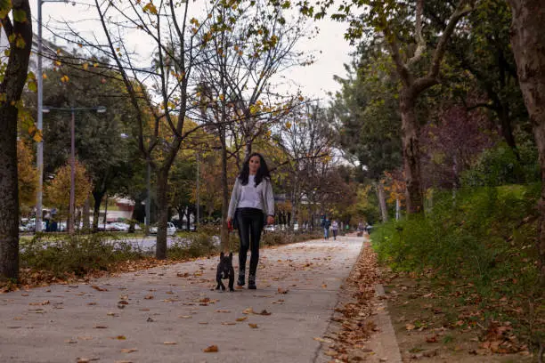 Young Woman walking her french bulldog in the park