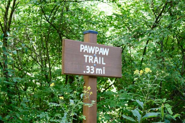 istock Brown Sign in the Forest. 1368234167