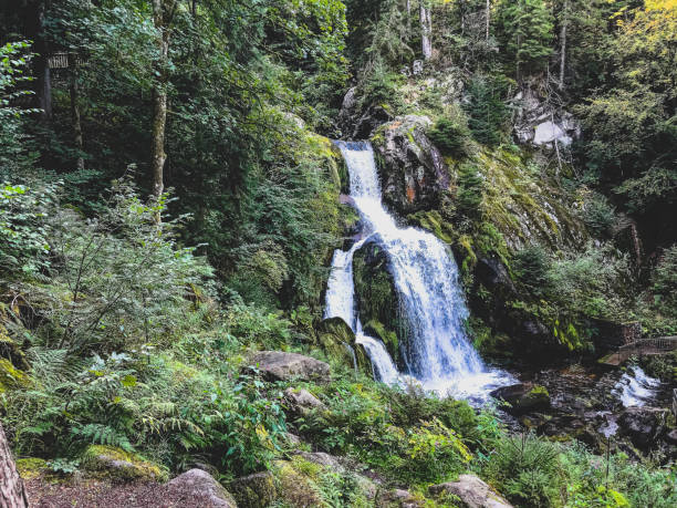 istock A waterfall in the Black Forest in Germany. 1368235964
