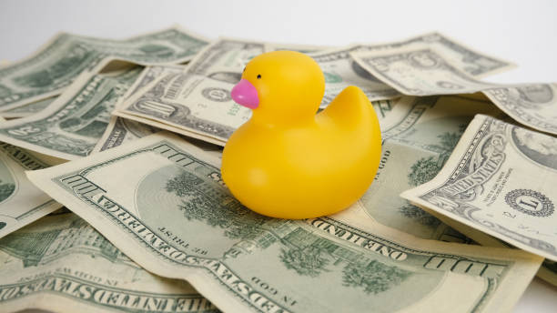 istock Background from money. Scattered dollars and yellow duck 1368238375