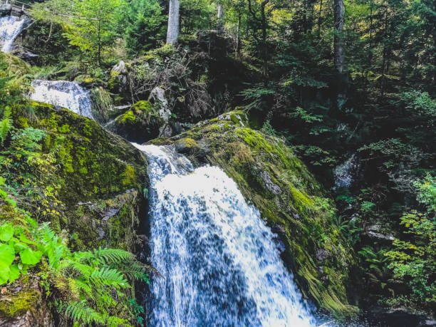 istock A waterfall in the Black Forest in Germany. 1368239857