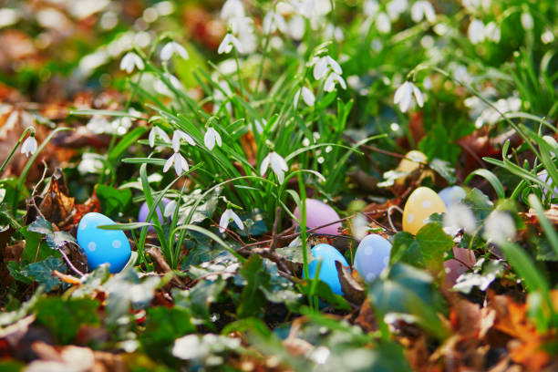 istock Colorful Easter eggs hidden in grass with beautiful snowdrop flowers 1368241210