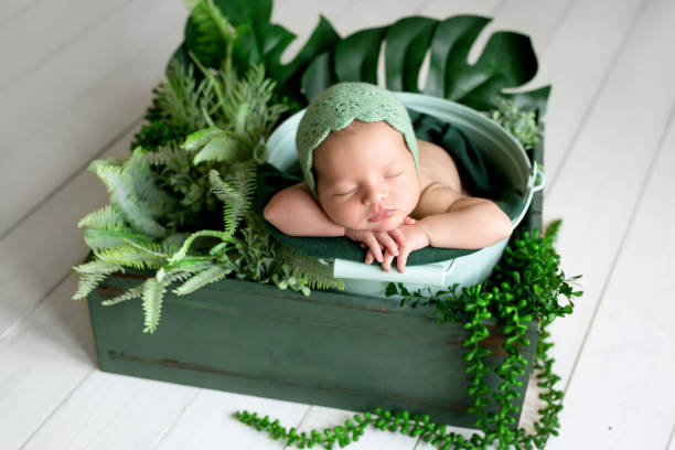 istock Newborn sleeping baby sleeping among monstera plants and other vegetation. 1368245954