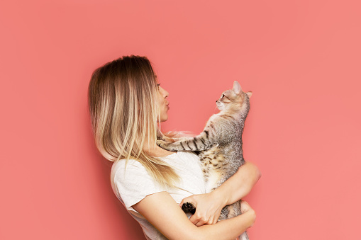 A young caucasian pretty cute blonde woman holds a tabby cat in her hands admiring it isolated on a bright color pink background. The girl babying with a kitten. Fiendship of pet and owner. Banner