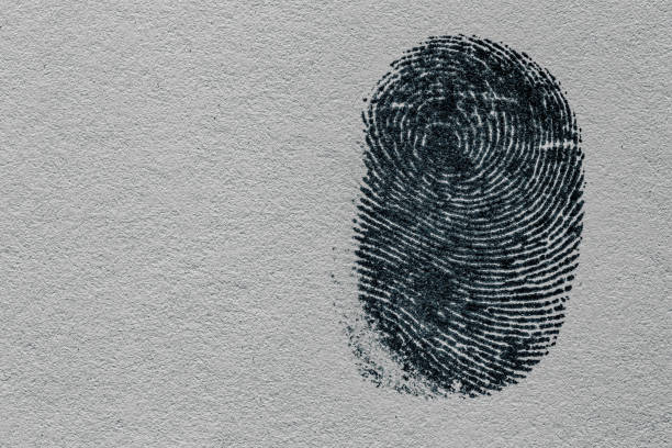 istock black macro fingerprint,Fingerprint detail, 1368249594
