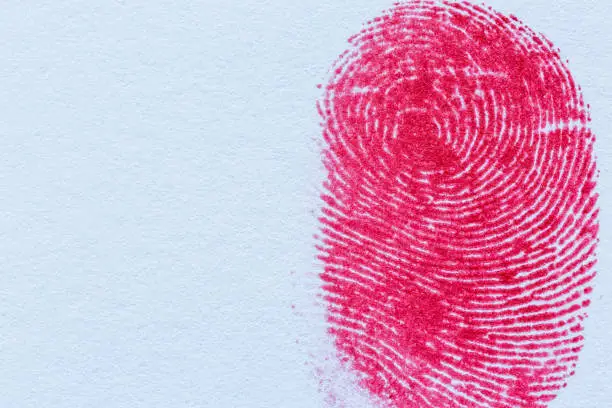 Photo of red macro fingerprint,Bloody fingerprint as background, macro. Imprint of index finger,