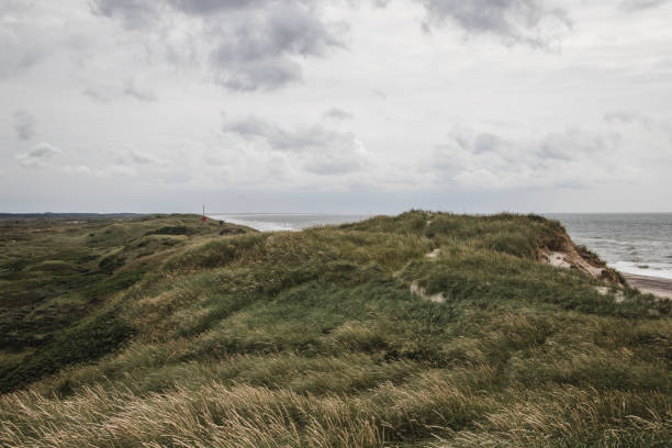 istock beach and dunes at the north sea 1368250052