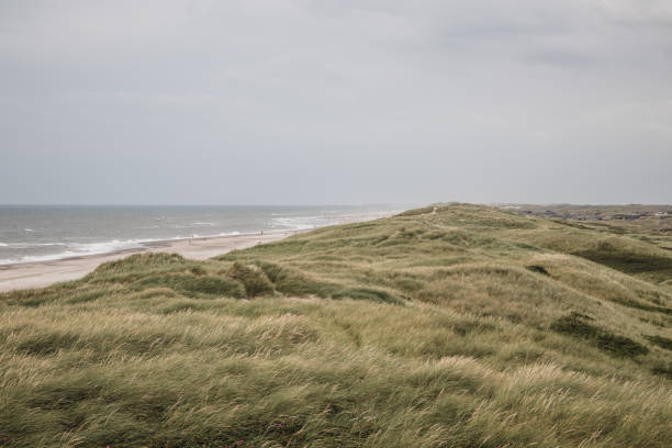 istock beach and dunes at the north sea 1368250087