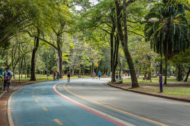 São Paulo, Brazil. Ibirapuera Park. Bike path. People playing sports and walking through the park. Sao Paulo, Brazil. September 30, 2021: Ibirapuera Park. Blue bike path curve on sidewalk. People playing sports and walking through the green landscape of the park. ibirapuera park stock pictures, royalty-free photos & images