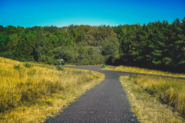 Garden path