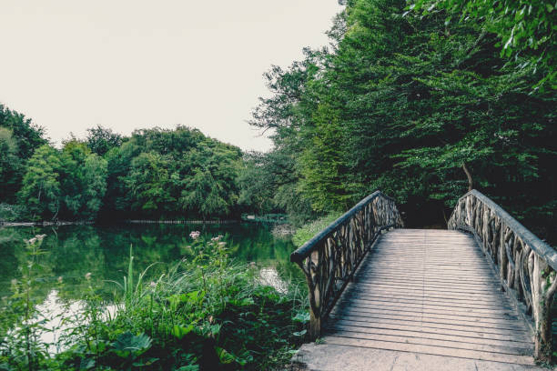 istock A bridge over a lake for visitors. 1368251343