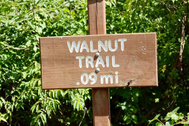 istock Brown and White Wood Sign 1368251619