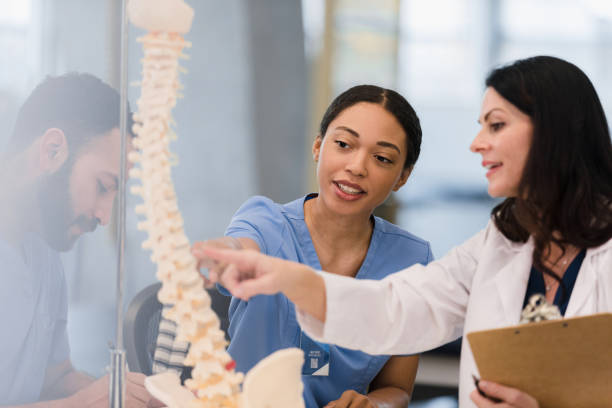 istock Young adult nursing students learn about human spine from professor 1368253322