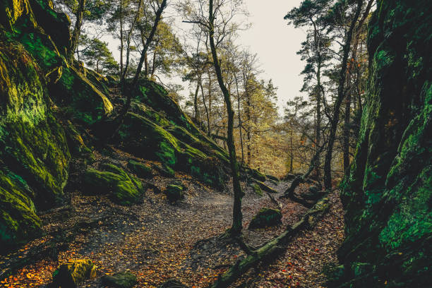 istock A forest with rocks in autumn in Germany also called 