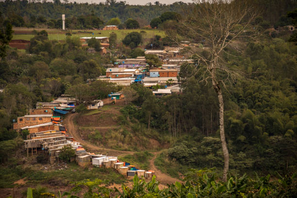 Little houses on a frontier town in Paraguay´s river shore called Ita Vera, Paraguay musgo, cubierto, selva, selva tropical, antigua, abandonada, pared de ladrillo, pared verde, ladrillos verdes, santa maría la mayor, misiones, argentina, iguazú, campo, agricultura, té, naturaleza, pasto, paisaje, planta, árbol, granja, plantación, ho