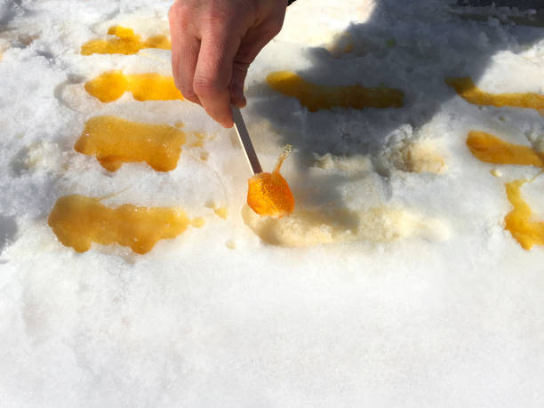 maple taffy sulla neve - maple syrup sugar shack foto e immagini stock