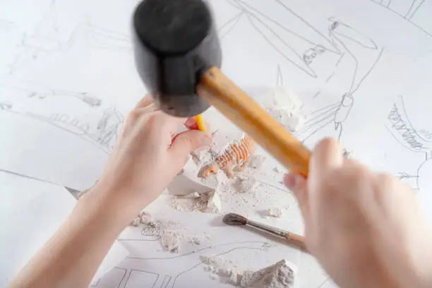 Photo of Child plays a paleontologist, excavates a dinosaur skeleton. Children's interest with dinosaurs and other ancient monsters. Children's hands close-up in foreground. POV (point of view from eyes)