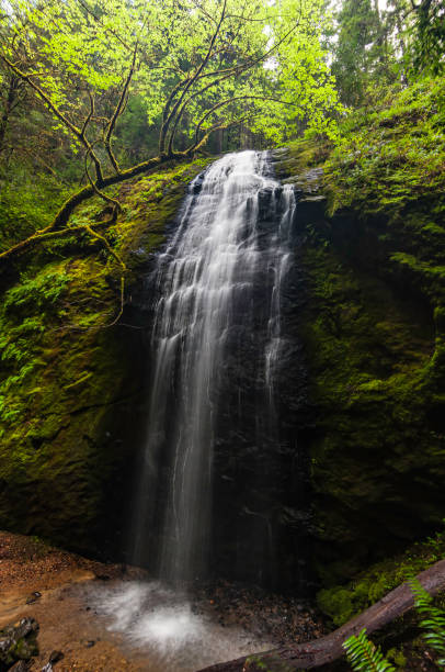 istock Chanberlain Falls in the  Jackson Demonstration State Forest, Mendocino County, California; 1368261999
