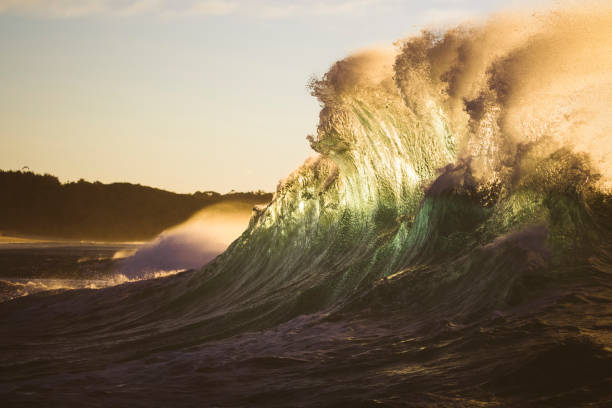 Scenic rolling emerald wave of Pacific ocean on Northern beaches coast of Sydney - Whale beach.