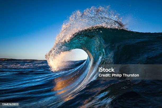 Blue Ocean Wave Cresting In Morning Light Stock Photo - Download Image Now - Wave - Water, Sea, Breaking Wave