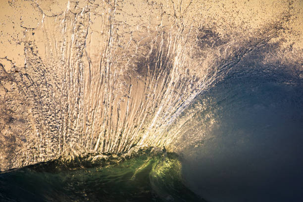 istock Close up of ocean splash from crashing wave 1368263698
