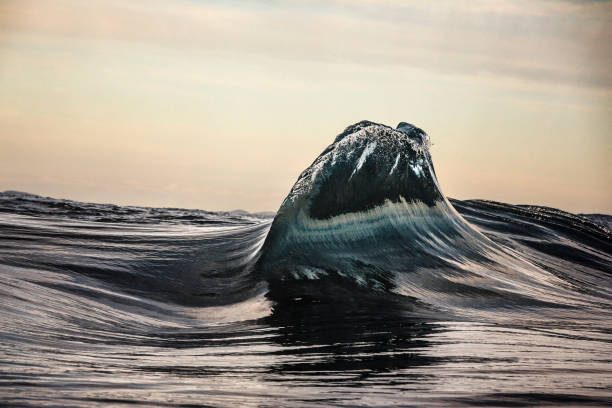 Close up of small wave peaking on oceans surface