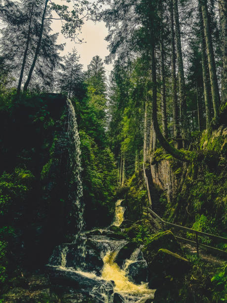 istock A small stony river with waterfalls in the Black Forest. 1368263924